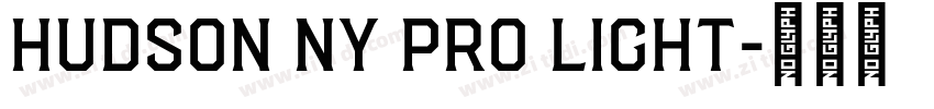 Hudson NY Pro Light字体转换